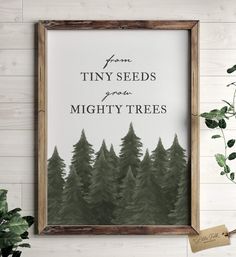 a framed print with the words, from tiny seeds to mighty trees