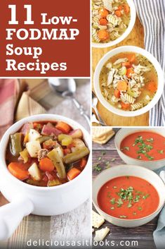 11 Low FODMAP Soup Recipes - Delicious as it Looks Low Fodmap Frozen Meals, Low Fodmap Soup Vegetarian, Low Fodmap Chicken Tortilla Soup, Low Fodmap Crockpot Recipes, Fodmap Soup Recipes, Low Fodmap Soup Recipes, Low Fodmap Soup, Fodmap Soups, Fodmap Soup