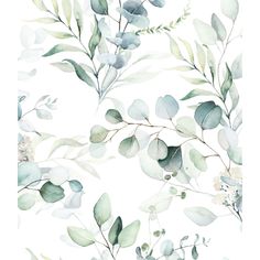 watercolor painting of green leaves and branches on white background, seamless wallpaper