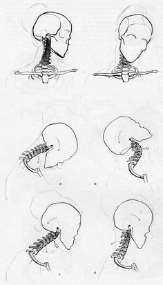 four different views of the human head and neck