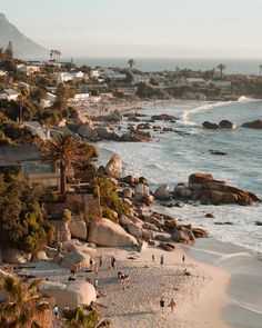 the beach is crowded with people on it and there are palm trees in the foreground