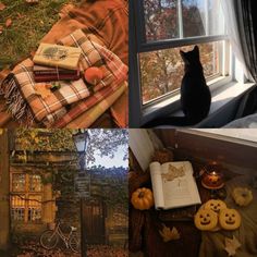 there is a cat sitting on the window sill looking out at leaves and pumpkins