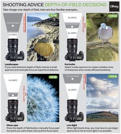 an advertisement with pictures of birds and other things to see on the page, including binoculars