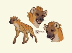 two hyenas are shown in three different poses