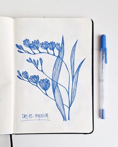 Days 44 to 47 - Still having so much fun! * I'm doing 100 days of floral linework. Each day, I will draw a different flower using a gel pen so I can get better at drawing different and unexpected flowers. If you want to follow me along and also draw, paint, or make a collage of the same flowers, stay tuned as I will be sharing a list with new flowers each 10 days. #100dayproject #100dayofflorallinework #florallinework #flowerdrawing #flowersketch Art With Sketch Pens, Floral Linework, Gel Pen Drawings, Get Better At Drawing, Drawing Plants, Doodle Floral, Doodle Art Flowers, New Flowers