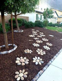 a garden with stones and trees in the ground near a house on a sunny day