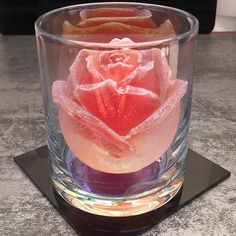 a rose in a glass on a table