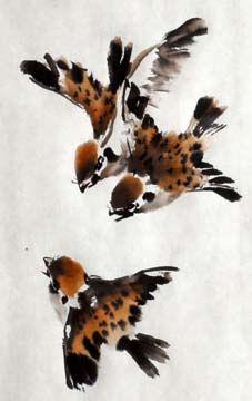 three birds flying in the air with their wings spread