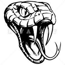 a black and white drawing of a snake's head with its mouth open, showing teeth