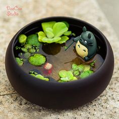 a black bowl filled with water and plants