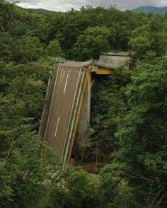 an overhead view of a road in the middle of a forest with trees surrounding it