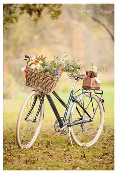 a bicycle with a basket full of flowers