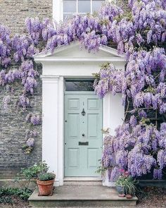 a blue door surrounded by purple flowers next to a brick building