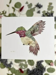 a hummingbird is flying in the air with its wings spread