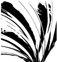 a black and white drawing of a plant