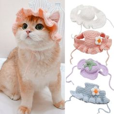 an orange and white cat sitting on top of a bed next to several crocheted hats