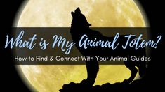 a wolf standing on top of a rock in front of a full moon with the words what's my animal totem? how to find and connect with your animal guides