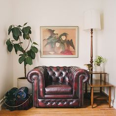 a living room with a leather couch and potted plant on the side table next to it