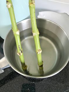 two asparagus are in a pan on the stove