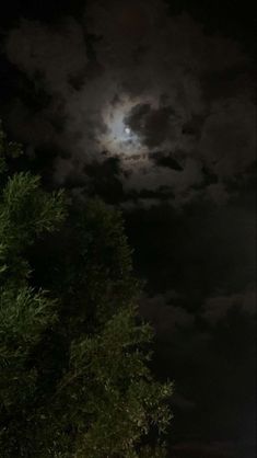 the full moon shines brightly in the night sky above trees and bushes on a dark, cloudy day