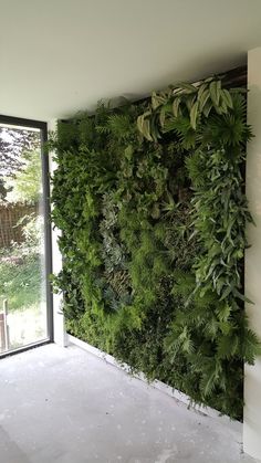 a living wall with green plants growing on it's sides, in front of a window