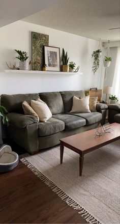 a living room filled with furniture and lots of plants on top of the couches