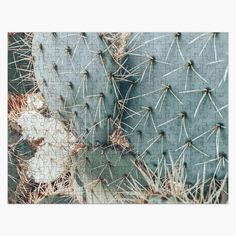 a jigsaw puzzle with cactus plants on it