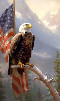 an eagle sitting on top of a tree branch with the american flag in the background