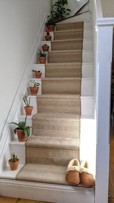 there is a set of stairs with slippers on the bottom and potted plants