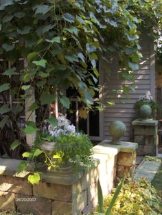 an outdoor garden area with flowers and plants in the foreground, next to a house