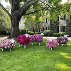 sheep made out of flowers in front of a large house with trees and bushes around them