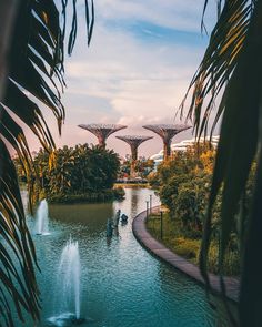 the gardens by the bay in singapore with water fountains and palm trees on either side