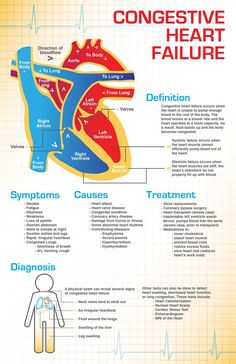 the heart and its major functions are shown in this diagram, which shows how it works