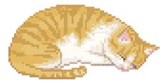 an orange and white cat sleeping on its side