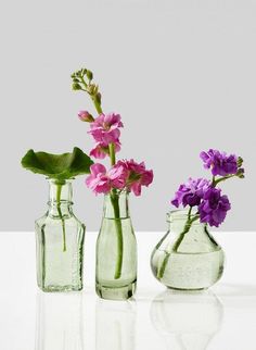 three glass vases with flowers in them on a white counter top, one has purple and the other is green