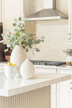 two vases with green leaves sit on a white countertop next to a stove