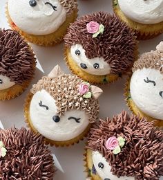 cupcakes decorated with hedgehog faces and flowers