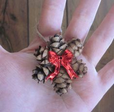 a person's hand holding a pine cone with a red bow on it,