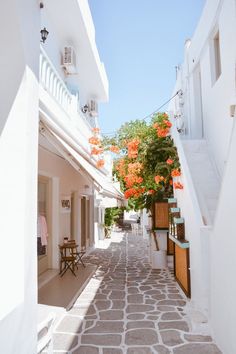 an alley way with white buildings and orange flowers on the tree's top branches