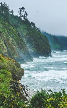 an ocean view with waves crashing into the shore and trees on the cliff above it