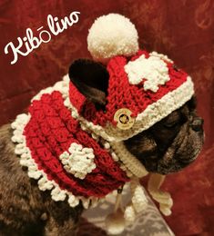 a small dog wearing a red and white knitted hat