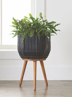 Key Features: Design: Large round planter handwoven with black resin rattan by skilled artisans, providing a multi-tonal textured finish. Base and Legs: Solid acacia wood base and legs with a clear finish, offering a sophisticated contrast to the black rattan. Construction: Rattan is woven over a sturdy steel frame, ensuring durability and stability. Weather Resistance: Solid acacia wood is suitable for outdoor use, making the planter weather-resistant. Planting Convenience: Includes a clear plastic insert for easy watering and protection, allowing worry-free maintenance of your plants. Versatile Use: Suitable for indoor spaces such as living rooms, dining rooms, and sunrooms, as well as covered outdoor areas like porches and patios. Maintenance: Easy to clean with a damp cloth; ensure tho Rattan Planters, Support Pour Plante, Cement Color, Resin Planters, Outdoor Living Decor, Tall Planters, Basket Planters, Garden Pottery, Indoor Planter