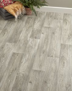 an image of a wood floor in the living room with grey tiles and plants on it