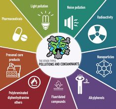 the five types of pollutings and contamnts are shown in this diagram