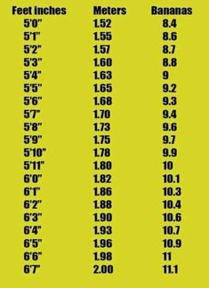 a yellow poster with numbers and times for each type of item in the text box