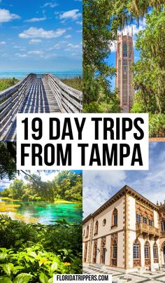 the top 10 day trips from tampa