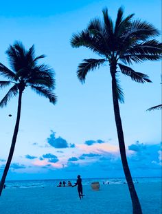 two palm trees are silhouetted against the blue sky at sunset on a beach with people in the water