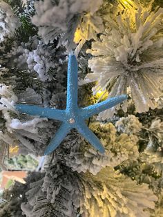 a blue star ornament hanging from the side of a christmas tree with snow on it