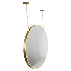 an oval mirror with two lights hanging from it