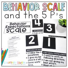 behavior scale and the 5ps poster